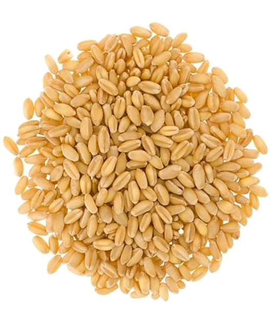 Soft White Wheat Berries | 4 LBS | Kraft Re-Sealable Bag | Desiccant Free | Sproutable | Non-GMO Project Verified | Kosher