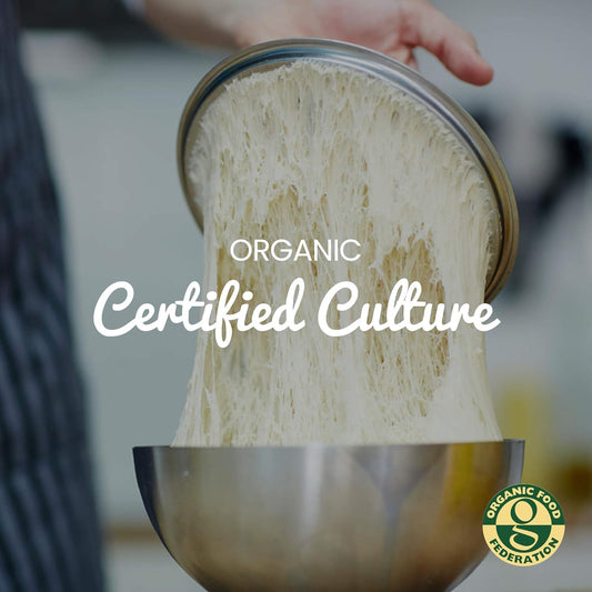 Freshly Fermented – Organic & Vegan Certified Freeze Dried Sourdough Culture, San Francisco Style