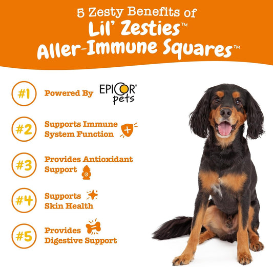 Zesty Paws Flavored Soft Chews - Aller-Immune For Dogs With Turmeric Licorice Root And Premium Epicor Fiber Dog Supplements For Seasonal Pollen Allergy Support Pet Immune System Booster 10 Oz