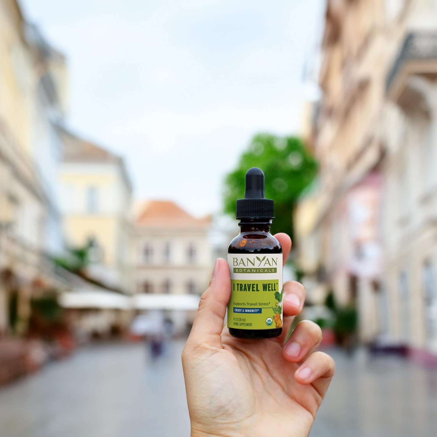 Banyan Botanicals I Travel Well Liquid Extract – Organic Fast-Acting Immune Support For Travel – With Ashwagandha And Ginger – 1 Fl. Oz. – Non Gmo Sustainably Sourced Vegan : Health & Household