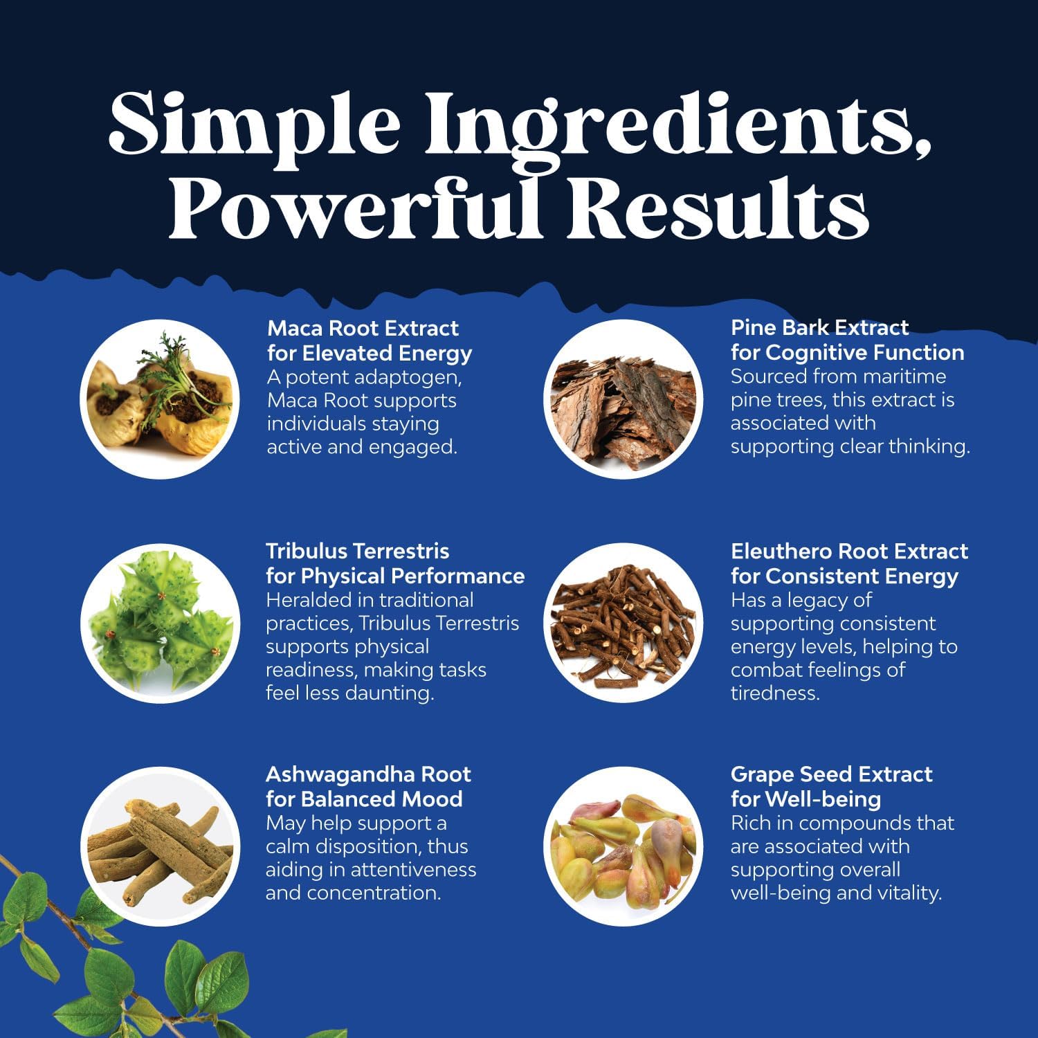 Black Maca Root Capsules for Men - Herbal Enhancement Supplement for Men with Siberian Ginseng Ashwagandha and Black Maca Root for Men - Invigorating Drive Mood & Energy Booster for Men (60 Servings) : Health & Household