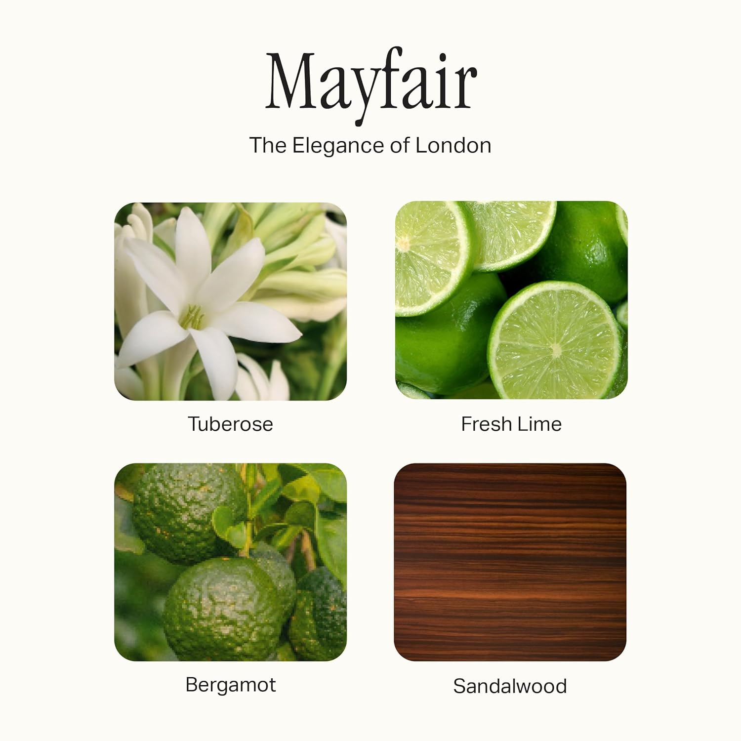 Kitchen Set, Hand Wash, Dish Soap & All Purpose Cleaner Bundle, Mayfair