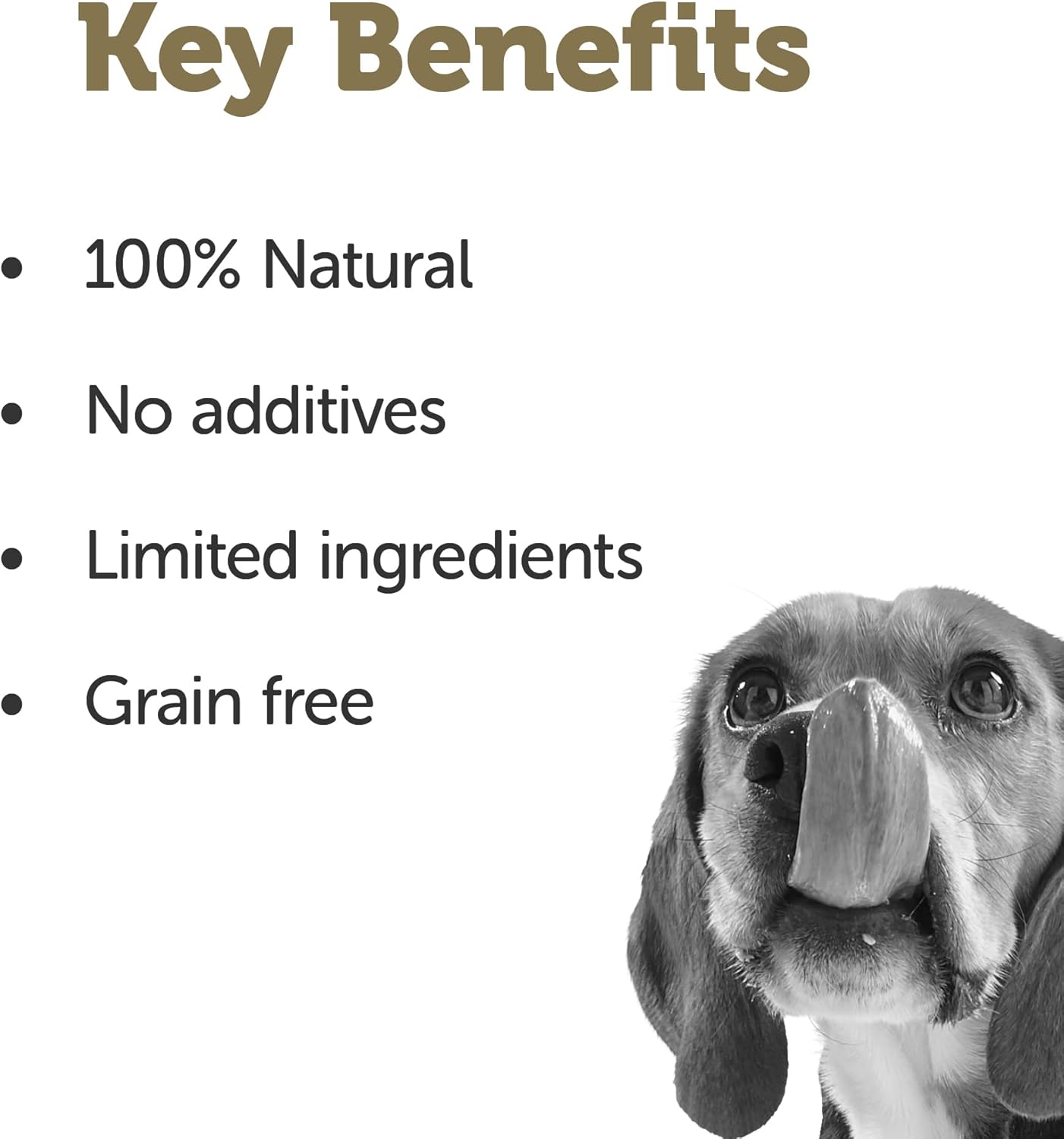 Applaws Taste Toppers, Grain-Free Dog Food Topper, Limited Ingredient, Chicken Breast With Salmon, Pumpkin, Carrots & Peas In Broth (12 X 5.5Oz Cans) : Pet Supplies