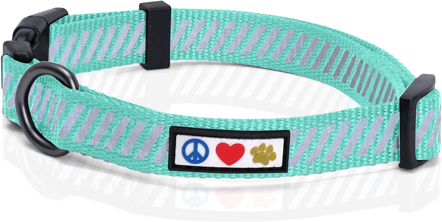 Pawtitas Traffic Collar Puppy Collar Traffic Teal Collar Reflective Dog Collar Extra Small Dog Collar Teal Dog Collar?43396-174811