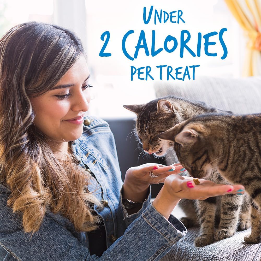Fruitables Cat Treats – Crunchy Treats for Cats – Healthy Low Calorie Treats Packed with Protein – Free of Wheat, Corn and Soy – Made with Real Chicken with Blueberry – 30 Ounces : Pet Supplies