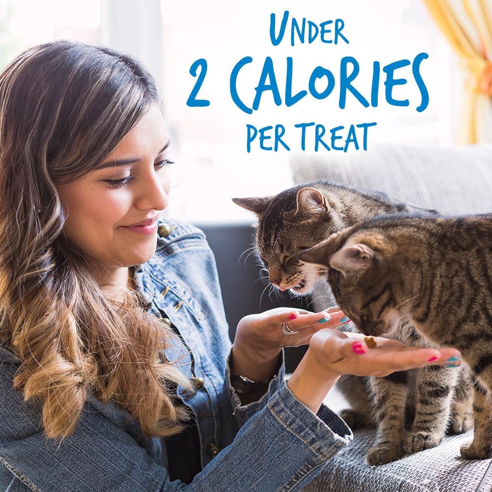 Fruitables Crunchy Low Calorie Treats Packed with Protein For Cats Healthy Free of Wheat, Corn and Soy – Made with Real Chicken with Blueberry – 2.5 Ounces : Pet Supplies