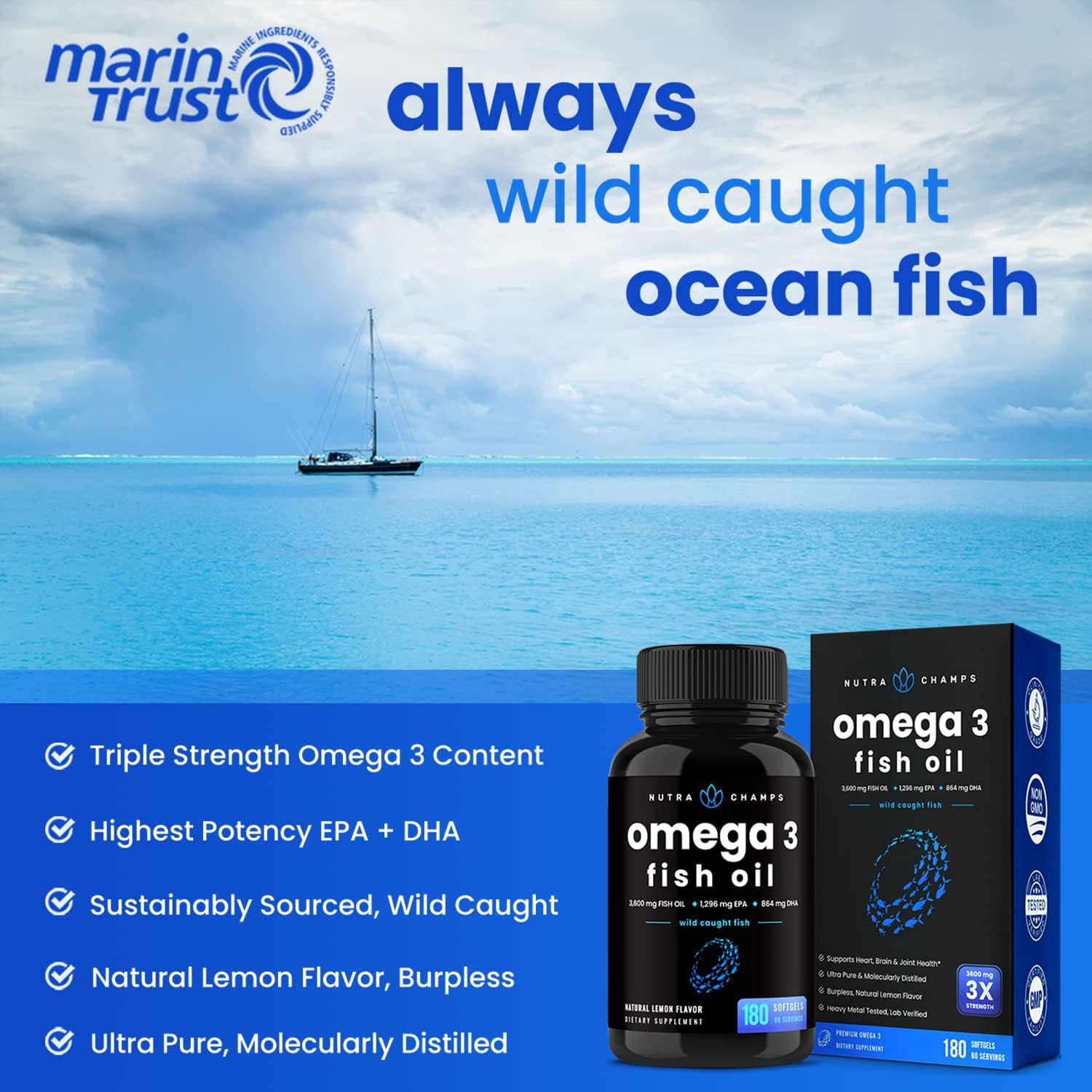 Omega 3 Fish Oil Supplements 3600mg with EPA & DHA | High Potency Omeg