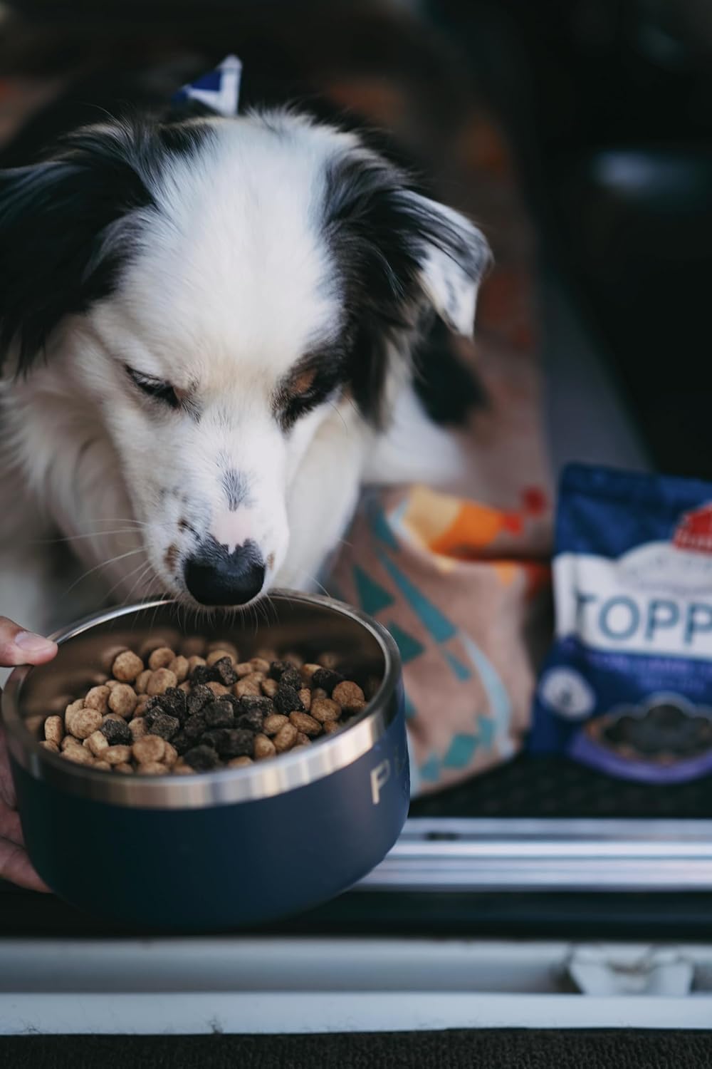 PLATO Pet Treats Air Dried Dog Food Topper, Venison, Lamb and Collagen Recipe 12oz, Superfood, Grain Free, Made in The USA : Pet Supplies