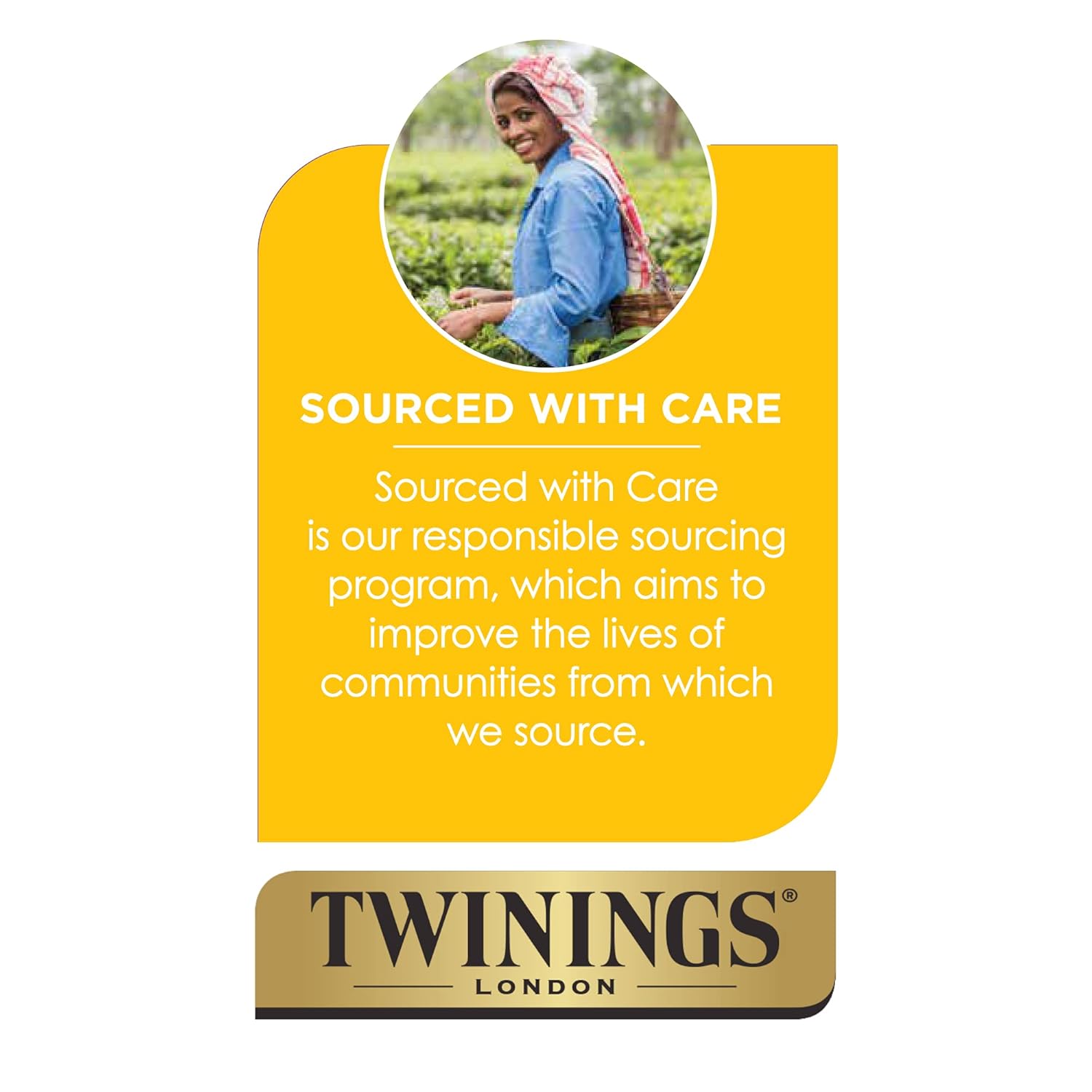 Twinings Cold Brewed Iced Tea - Mint Flavored Green Tea With Peppermint Leaves, Caffeinated Green And Black Tea Extracts, Unsweetened Cold Brew Tea Bags Individually Wrapped, 20 Count