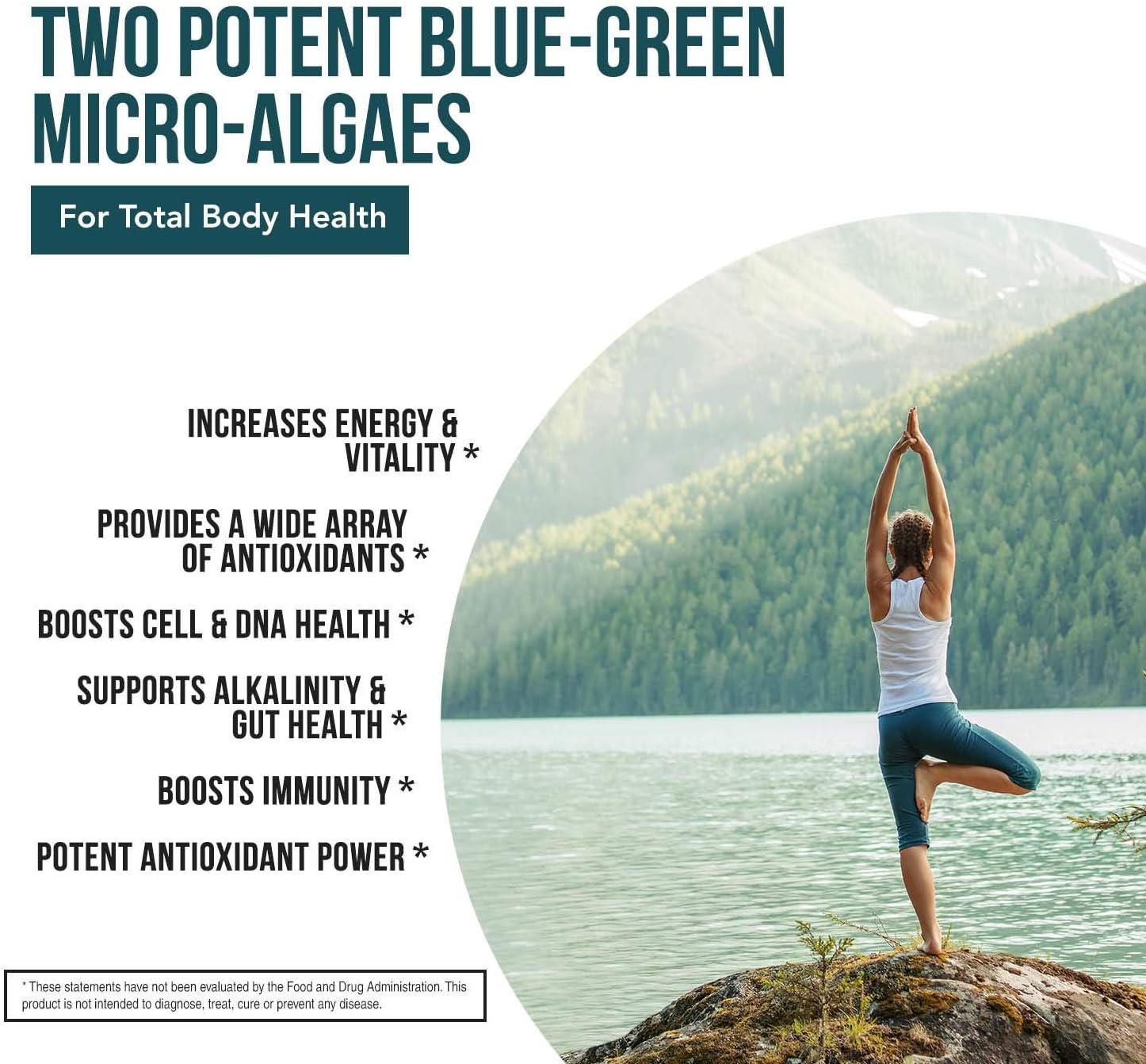 Organic Spirulina & Chlorella Tablets – 4 Organic Certifications, Raw, Non-Irradiated – 50/50 Blue Green Algae Blend – Antioxidant Content Equal to 5 Servings of Vegetables (120 Tablets)