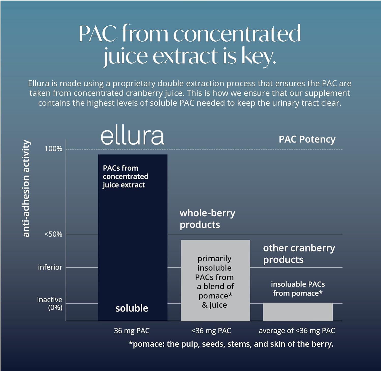 ellura Solv Wellness Clinically Proven Cranberry Supplement: Get Ahead of UTIs with 36mg of 100% Bioavailable PAC, 90 Capsules : Health & Household