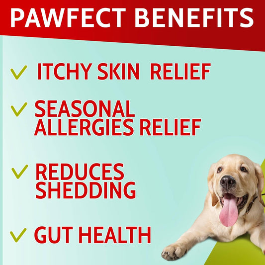 Dog Allergy Relief Chews - Anti-Itch Skin Coat Supplement - Itchy Skin Relief Treatment Pills w/Omega 3 Fish Oil - Itching & Paw Licking - Dry Skin & Hot Spots - 120 Immune Treats - Bacon