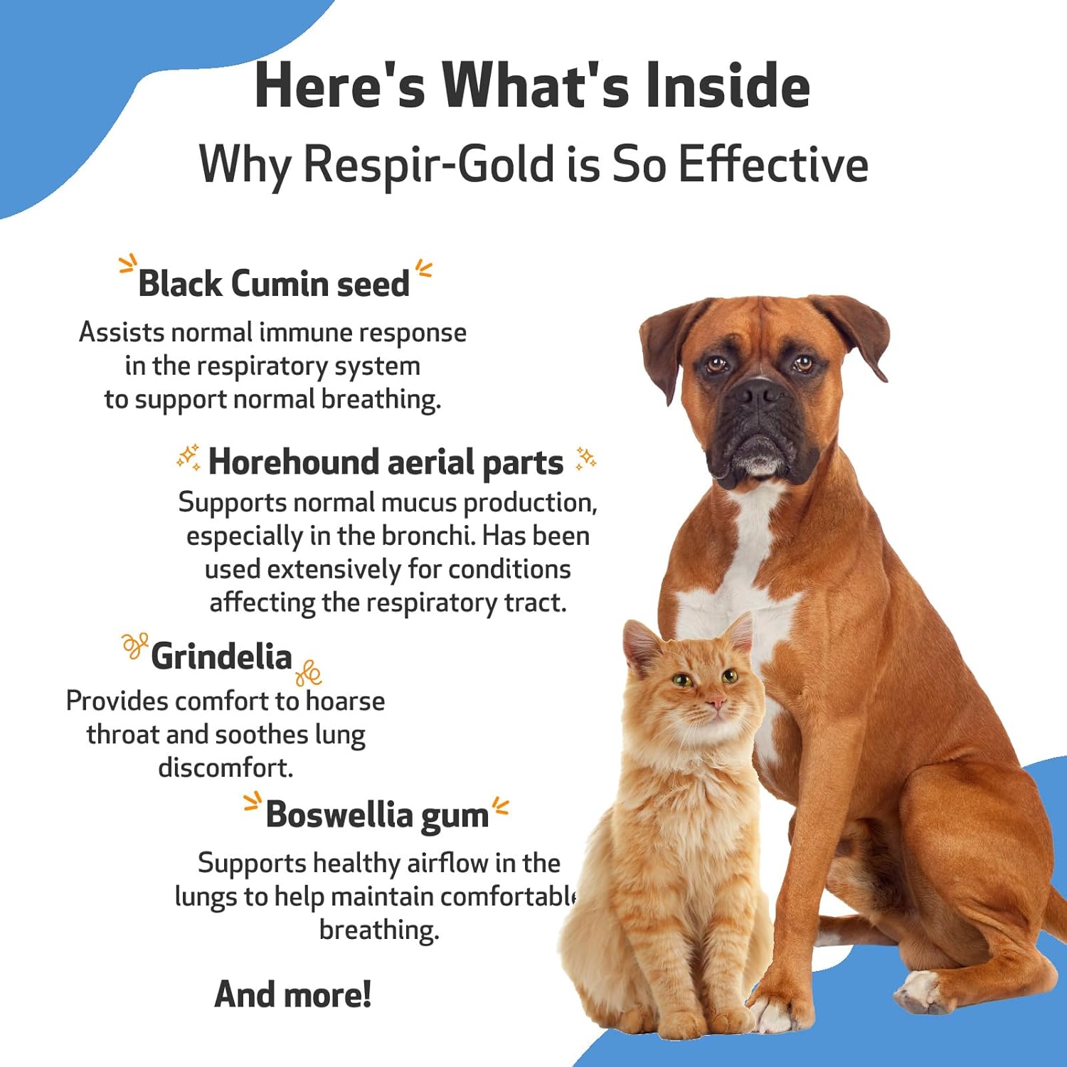 Pet Wellbeing Respir-Gold for Dogs & Cats - Vet-Formulated - Easy Breathing, Open Airways, Respiratory Support - Natural Herbal Supplement 4 oz (118 ml) : Pet Supplies