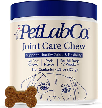Petlab Co. Joint Care Chews For Dogs - High Levels Of Glucosamine, Green Lipped Mussels, Omega 3 And Turmeric - Hip And Joint Supplement For Dogs To Actively Support Mobility