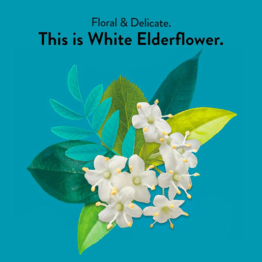 Choice Organic Teas White Elderflower Tea - Organic White & Green Tea - 48 Tea Bags (Pack Of 3)