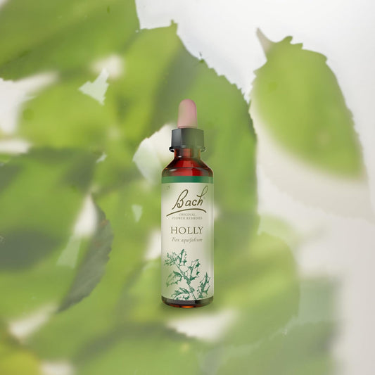 Bach Original Flower Remedies (Holly) Stand Your Ground, Goodwill Towards Others, Emotional Wellness, Natural Flower Essence, 20Ml