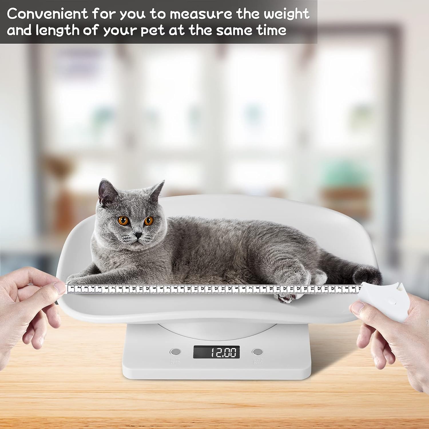 Baby Scale for Pet, Pet Scale Digital, Puppy Scales for Weighing, Puppy Whelping Scale, Dog Cat Scale, Portable Newborn Pet Scale for Small Animals, Baby Puppies Kittens Weight Scale (33lb+Tape) : Baby