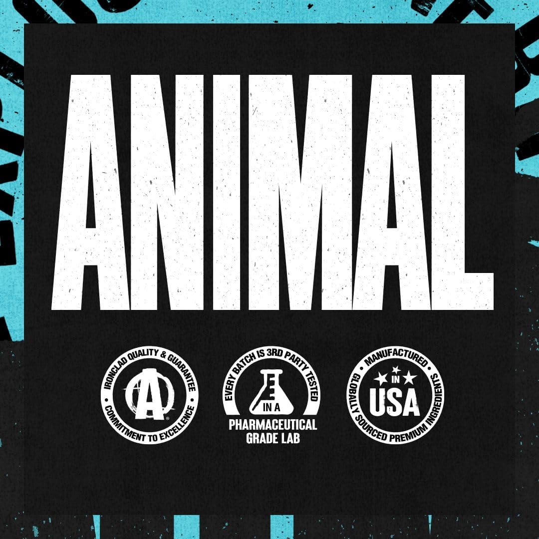 Animal Juiced Amino Acids - Bcaa Powder Eaa Matrix Plus Hydration With Electrolytes And Sea Salt Anytime Recovery And Improved Performance, Orange Flavor, 30 Servings : Health & Household