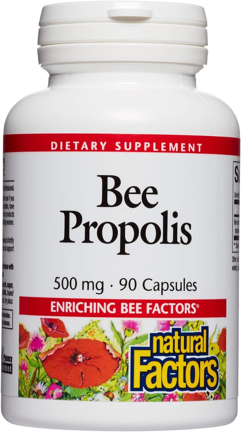 Natural Factors, Bee Propolis Extract 500 mg, Supports a Healthy Immune System, 90 capsules (90 servings) : Health & Household