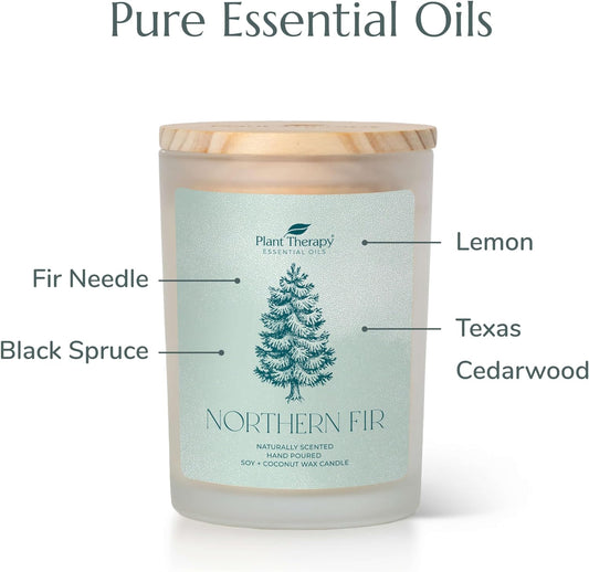 Plant Therapy Northern Fir Naturally Scented Candle 8 Oz Hand-Poured Coconut & Soy Wax Blend, Refreshing Forest Scent, Chic Frosted White Jar With Wooden Lid
