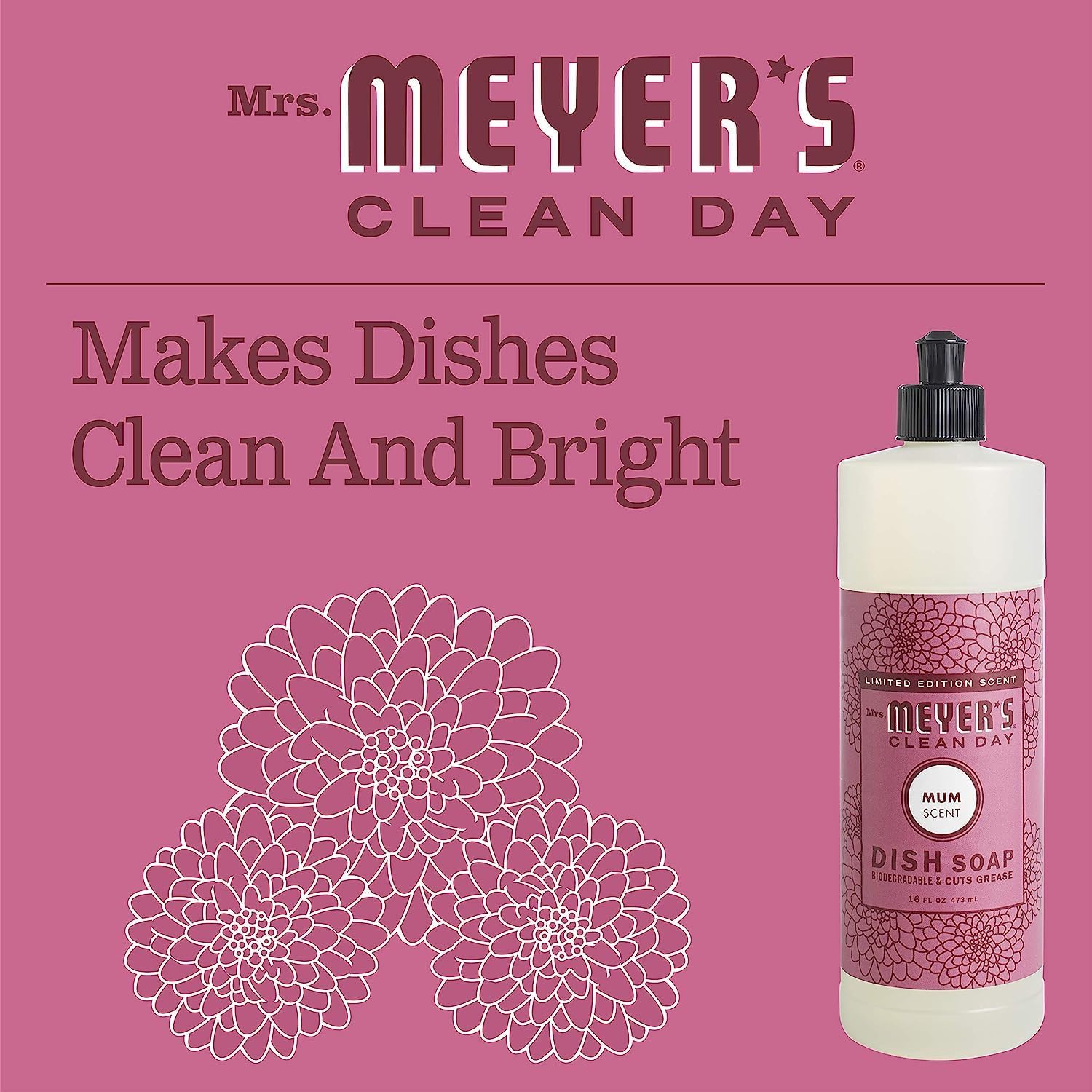 MRS. MEYER'S CLEAN DAY Variety, 1 Mrs. Meyer's Liquid Dish Soap, Acorn Spice, 16 OZ, 1 Mrs. Meyer's Liquid Dish Soap Mum, 16 OZ, 1 CT : Health & Household