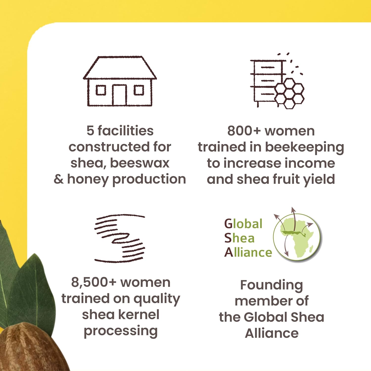 Burt's Bees Shea + Tropical Fruit Luminous Body Oil, Mothers Day Gifts for Mom, Non-Greasy, Antioxidant Rich for Glowing Skin, Non-Irritating, Natural Origin Skin Care, 8 oz. : Beauty & Personal Care