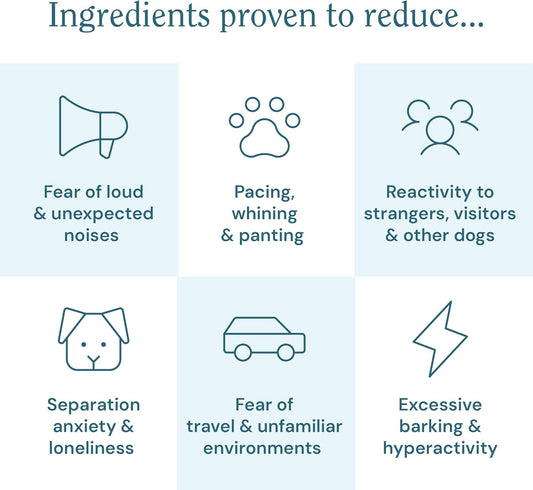 Clinipaw Calming Powder For Anxious Dogs - Stress And Anxiety Relief Treats - Reduce Fear Of Noise, Separation, Reactivity, Travel, Visitors - Fast Acting & Long Term - No Fillers, Up To 120 Servings