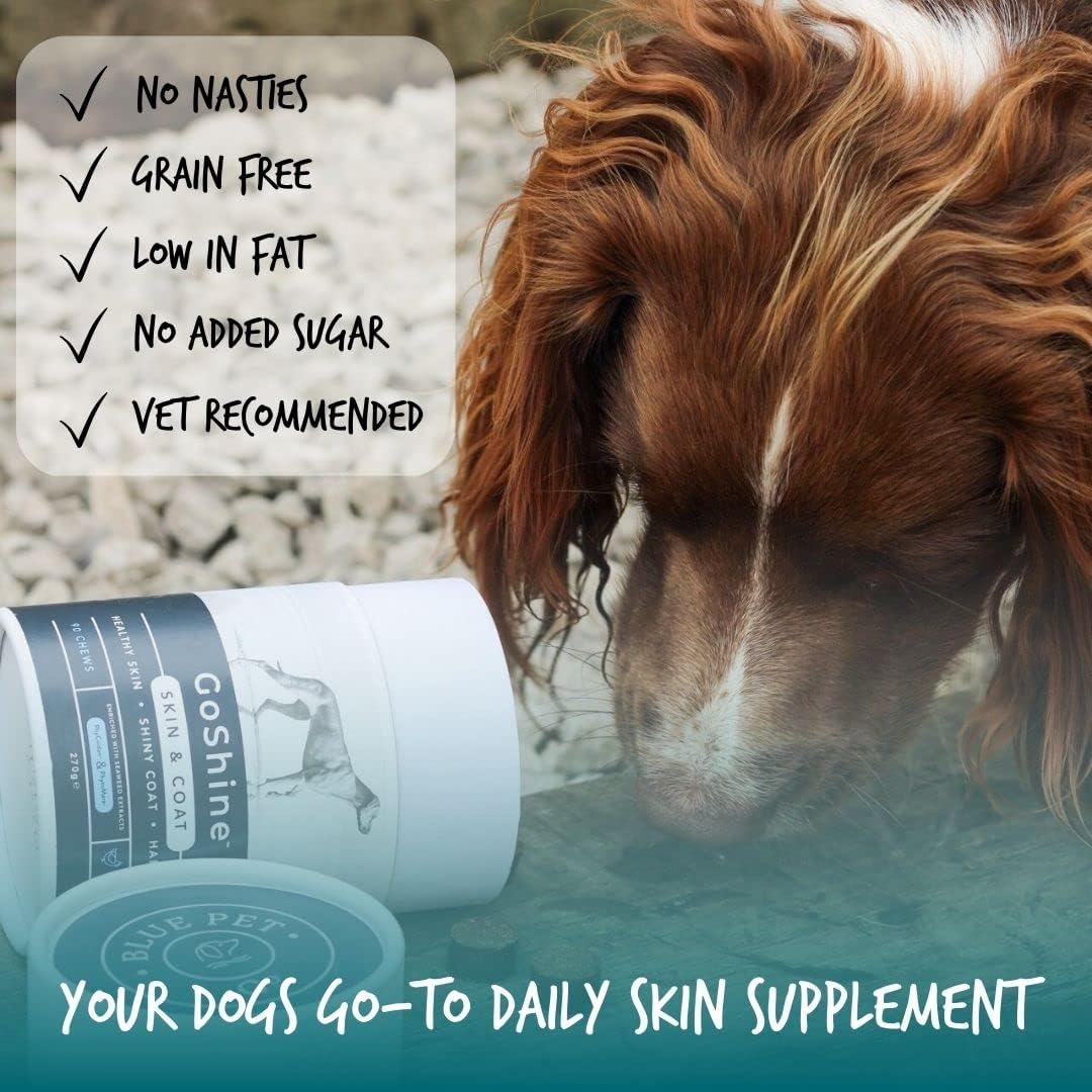Blue Pet Co - GoShine Skin & Coat Health Supplement for Dogs - Promotes Healthy Skin, Shiny Coat & Hair Growth - Enriched with Unique Seaweed Complexes - With Peanut Butter - 30 Chews : Amazon.co.uk: Pet Supplies