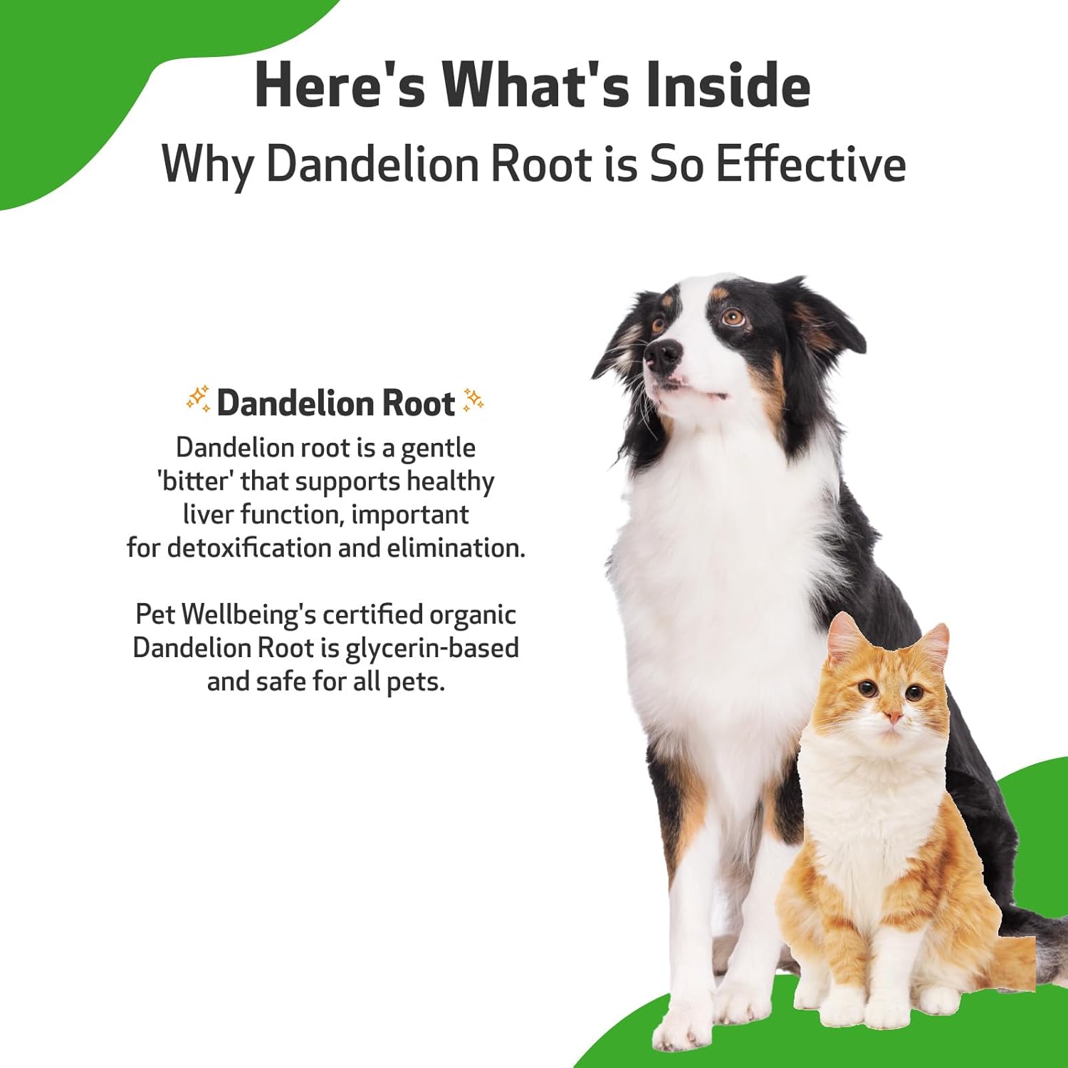 Pet Wellbeing Dandelion Root for Dogs & Cats - Liver, Digestive, Cardiovascular, Blood Sugar Support - Natural Herbal Supplement 4 oz (118 ml) : Pet Supplies