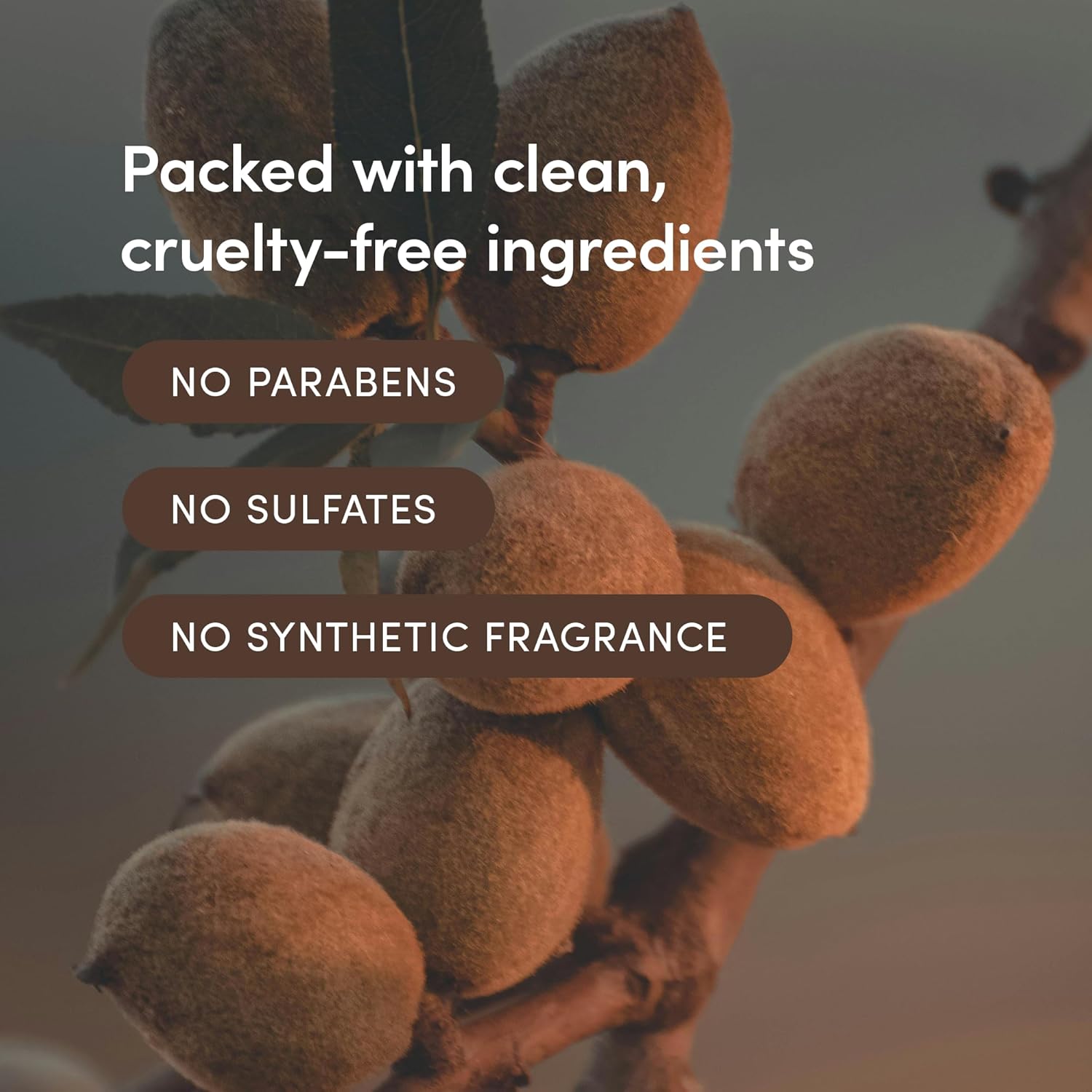 Lather - Almond Shave Crème, 4 Oz - Non-Foaming Luxurious Shaving Cream For Women And Men - Almond Oil, Vitamin E, Omega Fatty Acids - Sensitive Skin Safe - Vegan & Cruelty Free - Beauty & Skincare : Beauty & Personal Care