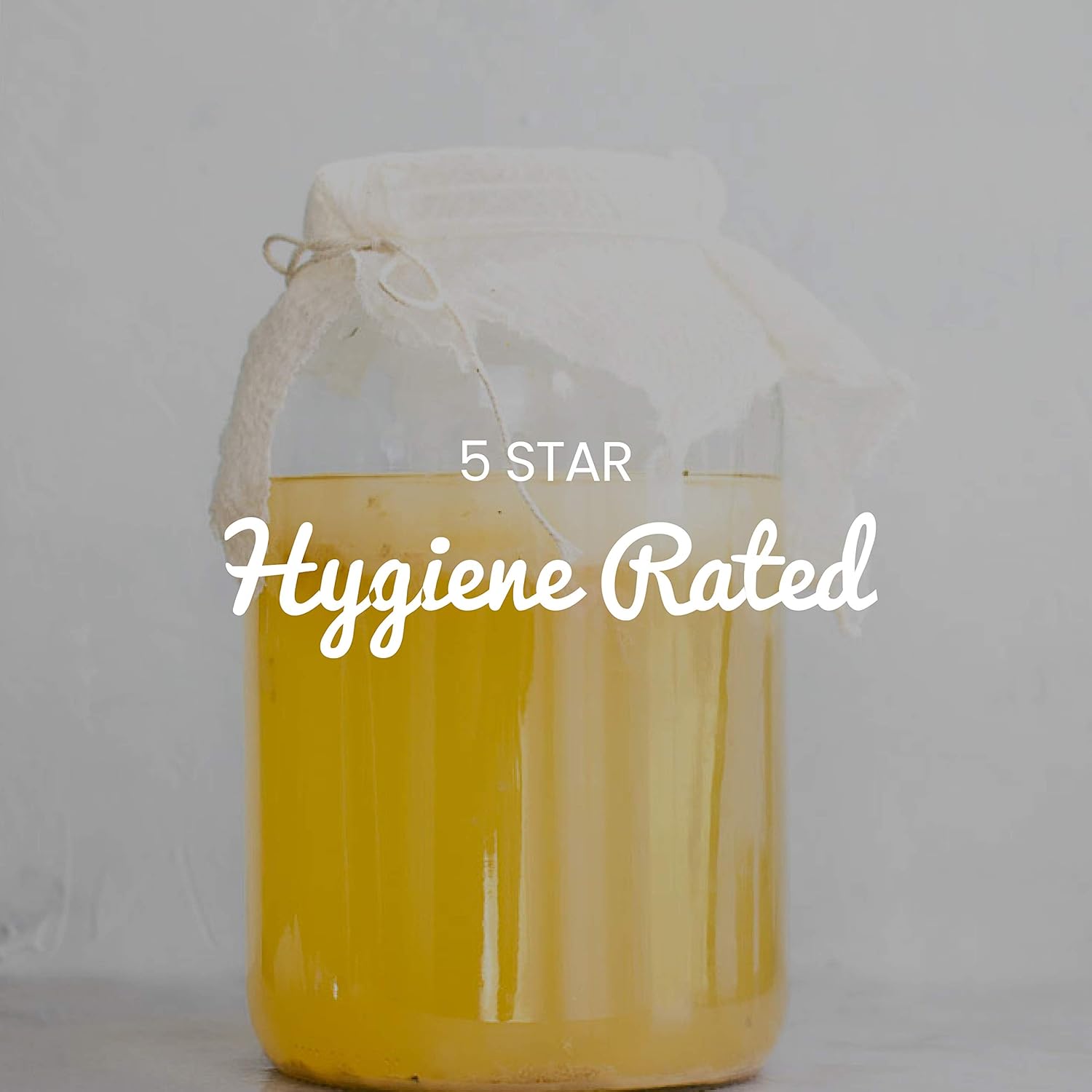 Freshly Fermented - Organic Jun Tea Scoby (1 Litre Size) : Amazon.co.uk: Grocery