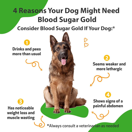 Pet Wellbeing Blood Sugar Gold For Dogs - Vet-Formulated - Supports Blood Sugar Balance, Healthy Pancreas & Liver - Natural Herbal Supplement 2 Oz (59 Ml)