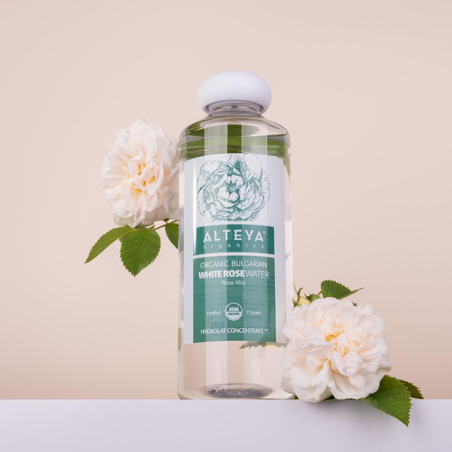 Bulgarian White Rose Water (Rosa Alba) - 100% Pure Usda Certified Organic Face Toner - 17 Fluid Ounces : Beauty & Personal Care