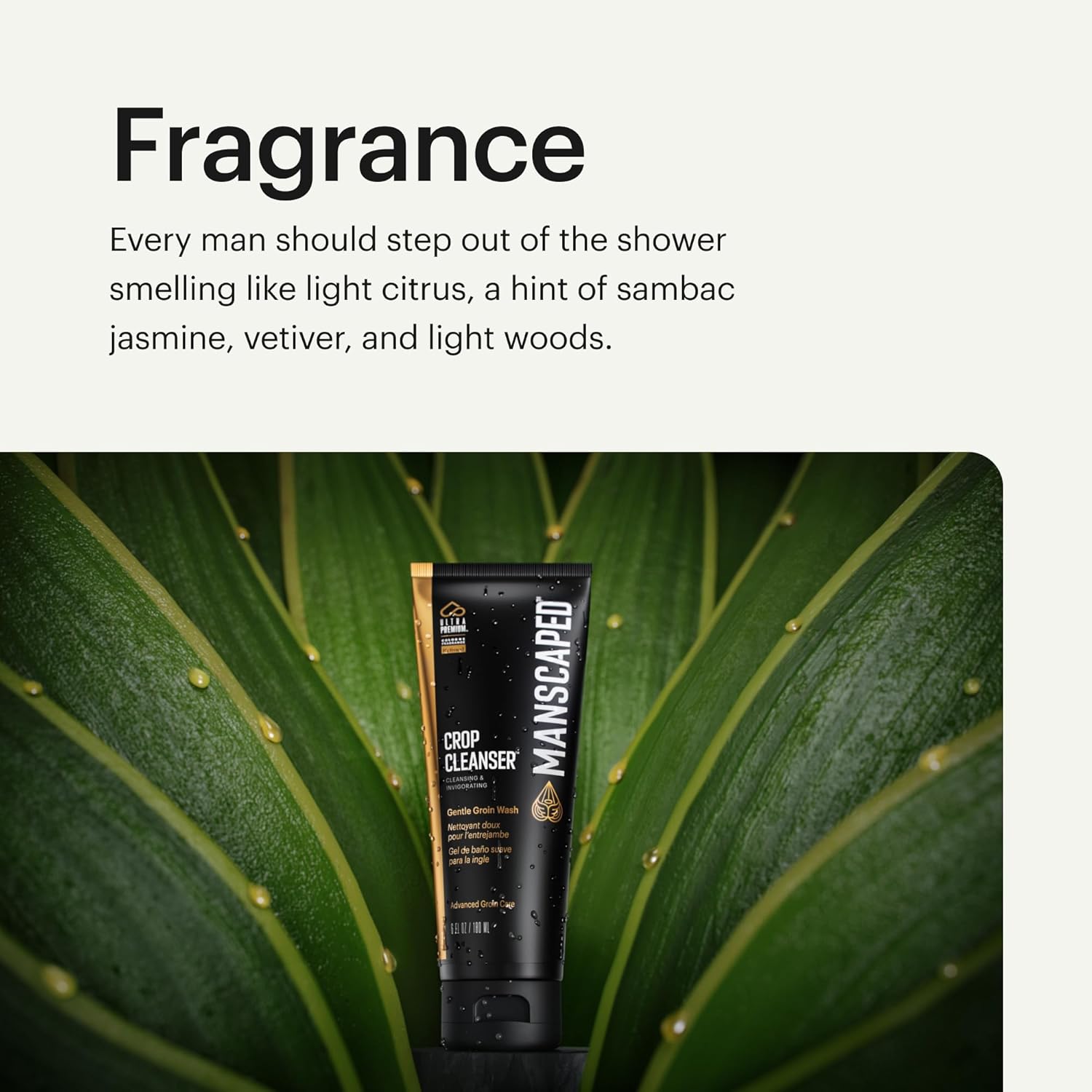 Manscaped® Crop Cleanser® Groin Wash, Men’S Ultrapremium Invigorating Formula For Below-The-Waist Cleaning, Refreshing Shower Gel For Men Infused With Vitamin E And Aloe, Vegan Body Wash (6 Oz) : Beauty & Personal Care
