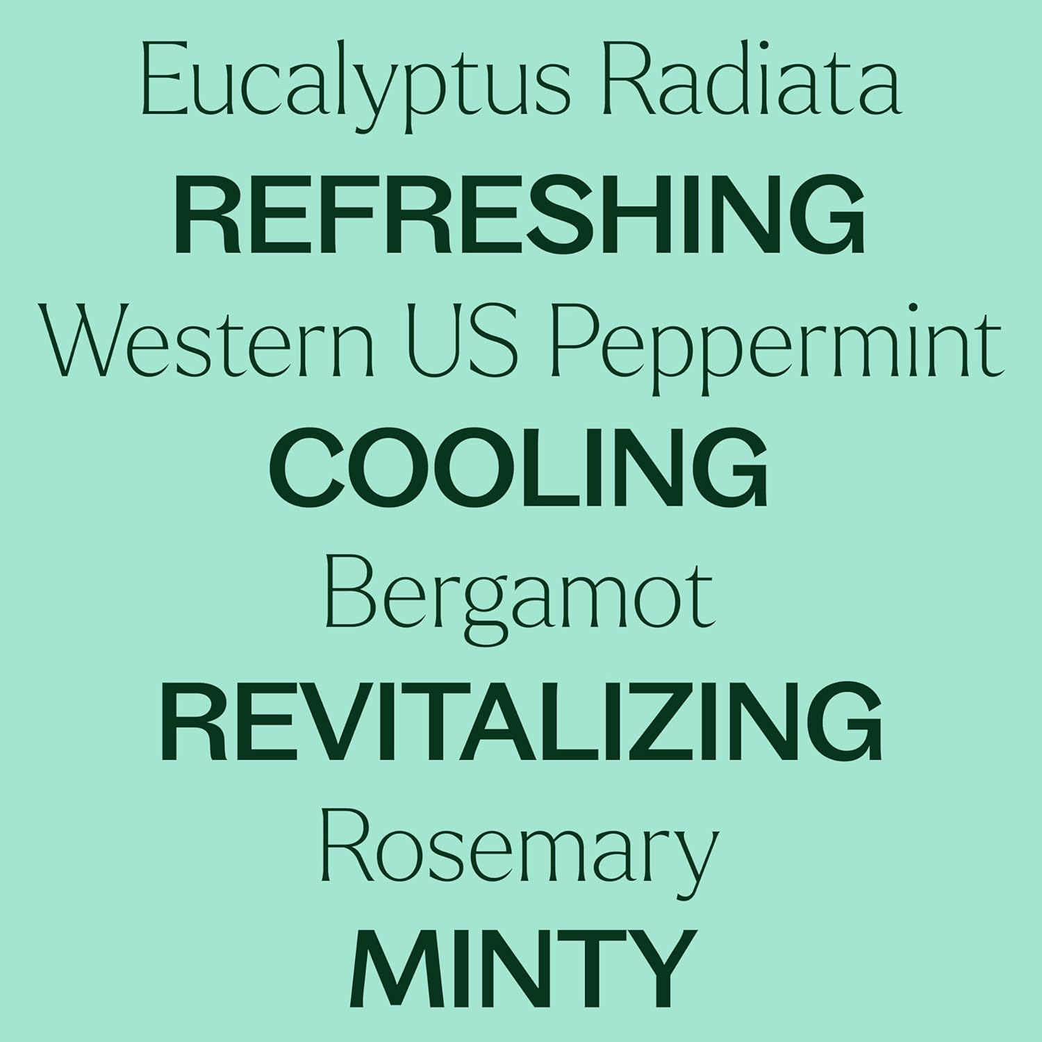 Plant Therapy Eucalyptus Mint Essential Oil Blend 10 mL (1/3 oz) Invigorating, Breathe Easier Aromatherapy Blend for Diffusers, Home, Shower Aromatherapy, 100% Pure, Undiluted, Therapeutic Grade : Health & Household