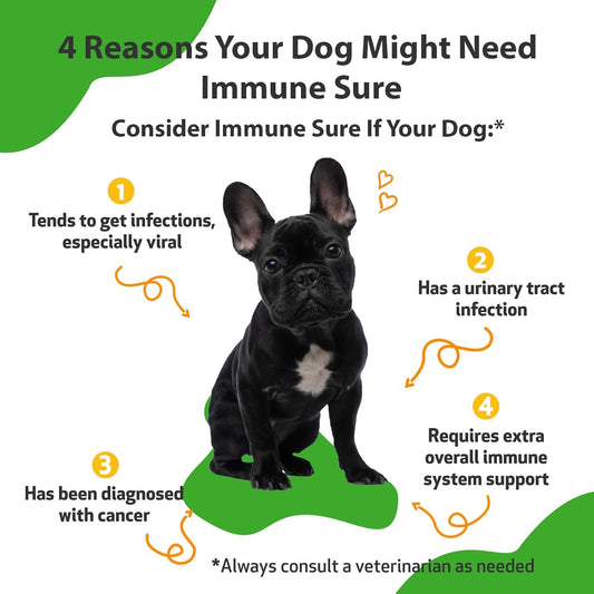 Pet Wellbeing Immune Sure For Dogs - Vet-Formulated - Immune System Support & Protection - Natural Herbal Supplement 2 Oz (59 Ml)