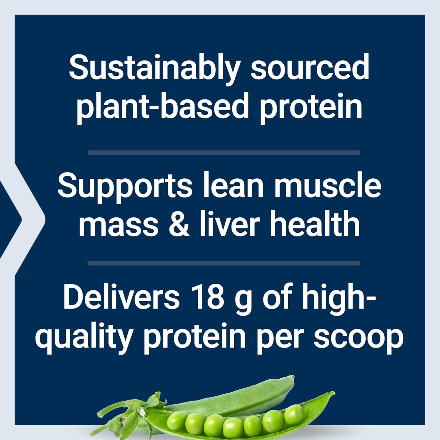 Life Extension Wellness Code® Plant Protein Complete & Amino Acid Complex (Vanilla), plant-based protein powder plus branched-chain amino acids, gluten-free, non-GMO, vegetarian, 450 grams : Health & Household