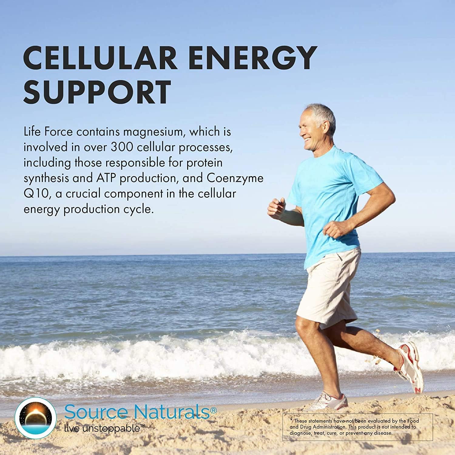Source Naturals Life Force Multiple Daily Multivitamin High Potency Essential Vitamins, Minerals, Antioxidants & Nutrients - Energy & Immune Boost - 60 Tablets : Health & Household