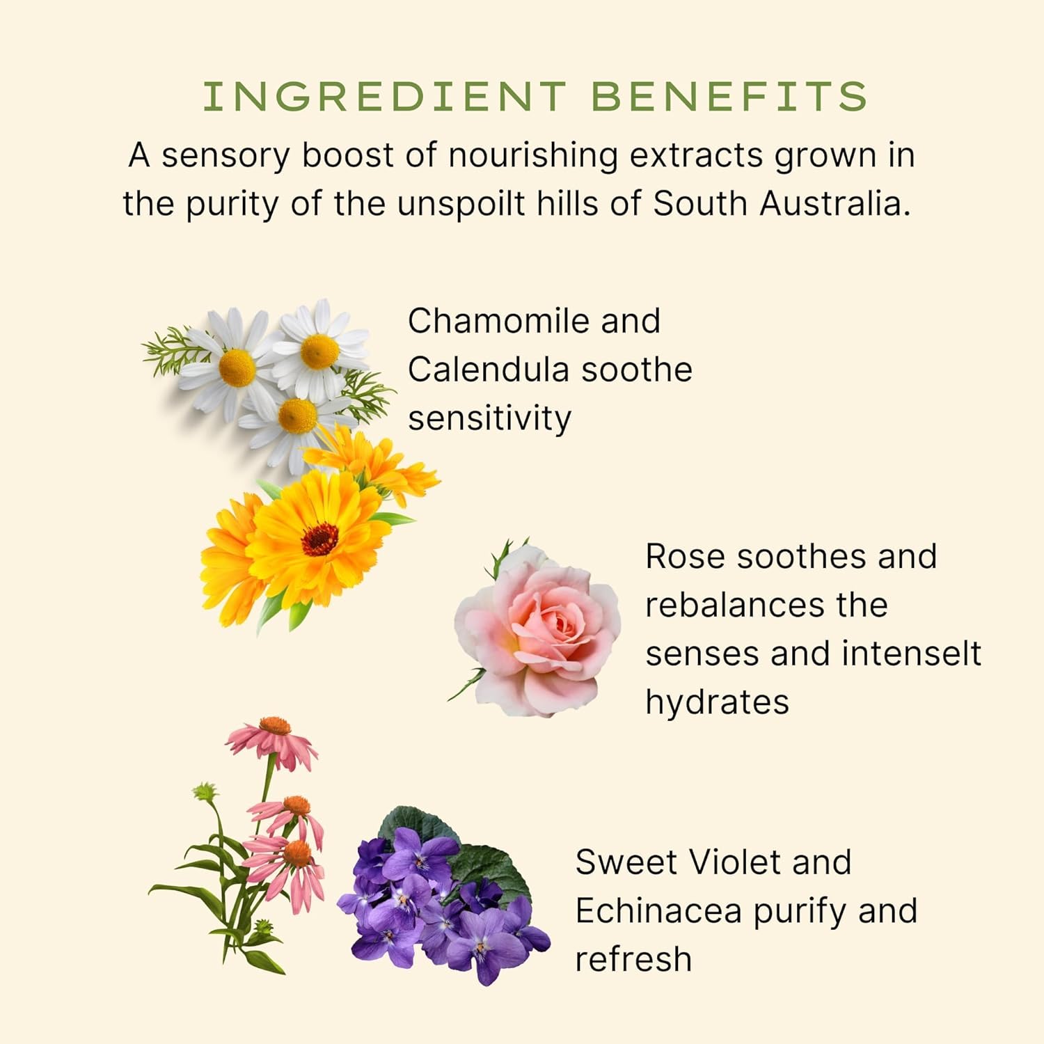 Jurlique - Rose Hand Wash : Beauty & Personal Care