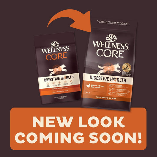 Wellness CORE Digestive Health Dry Dog Food with Wholesome Grains, Highly Digestible, for Dogs with Sensitive Stomachs, Made in USA with Real Chicken (Adult, 4-Pound Bag)