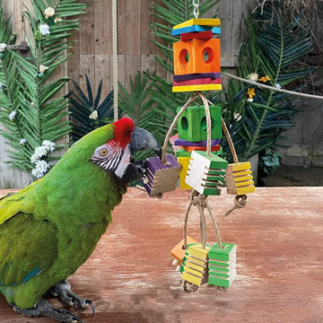 Dancing Foraging Cubes Parrot Toy