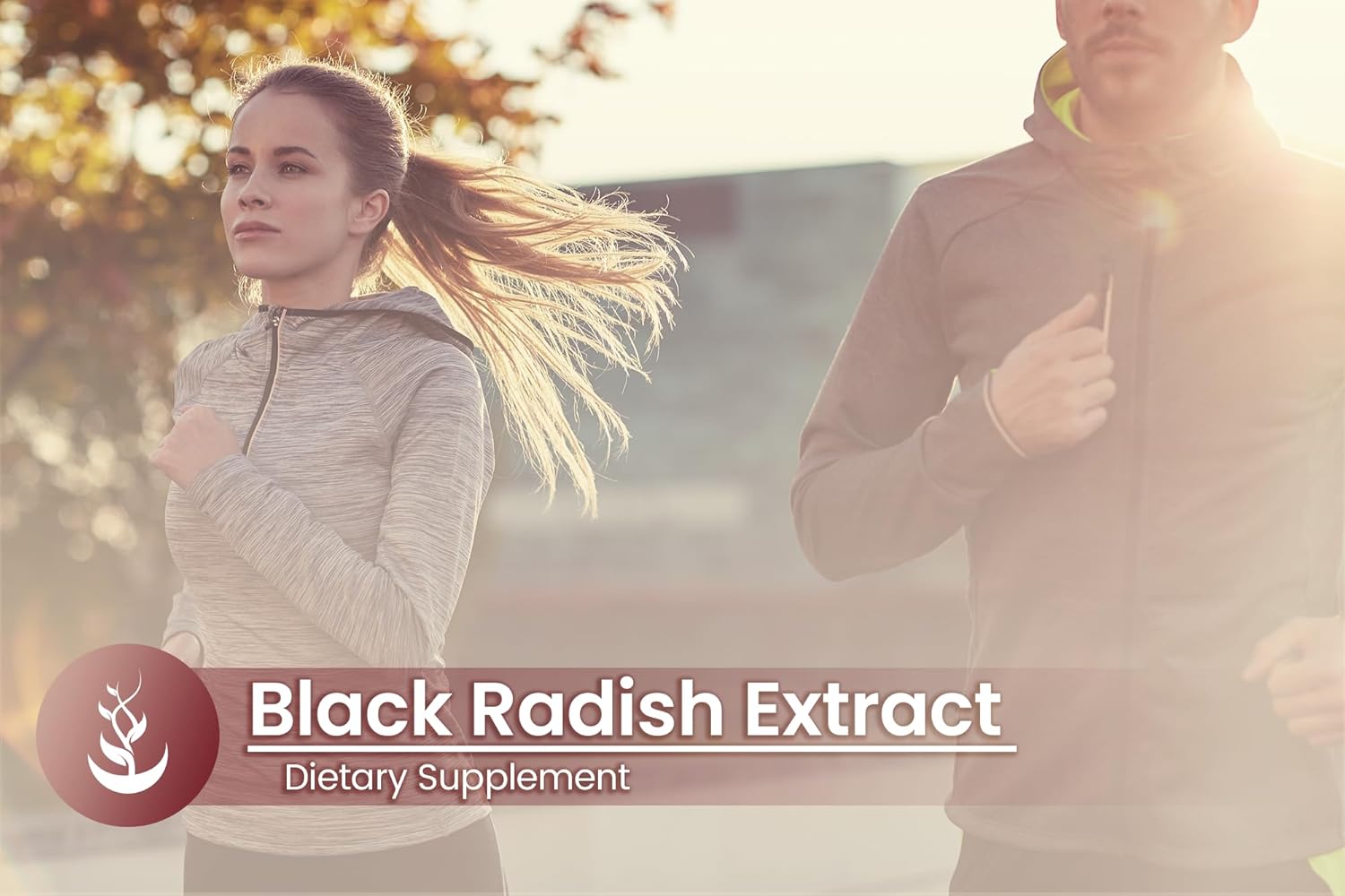 Pure Original Ingredients Black Radish, (100 Capsules) Always Pure, No Additives Or Fillers, Lab Verified : Health & Household