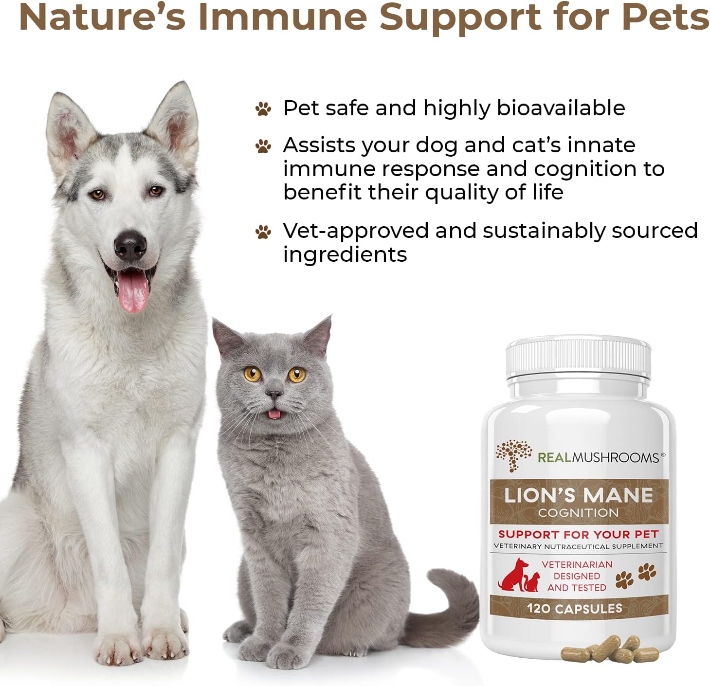 Real Mushrooms Lions Mane Pet Support Mushroom Supplement - Cat & Dog Vitamins and Supplements for Cognition & Memory Support - Vet Approved Mushroom Complex Capsules (120ct) Gluten-Free, Non-GMO : Pet Supplies