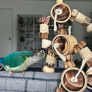 Natural Rings Parrot Toy - Large