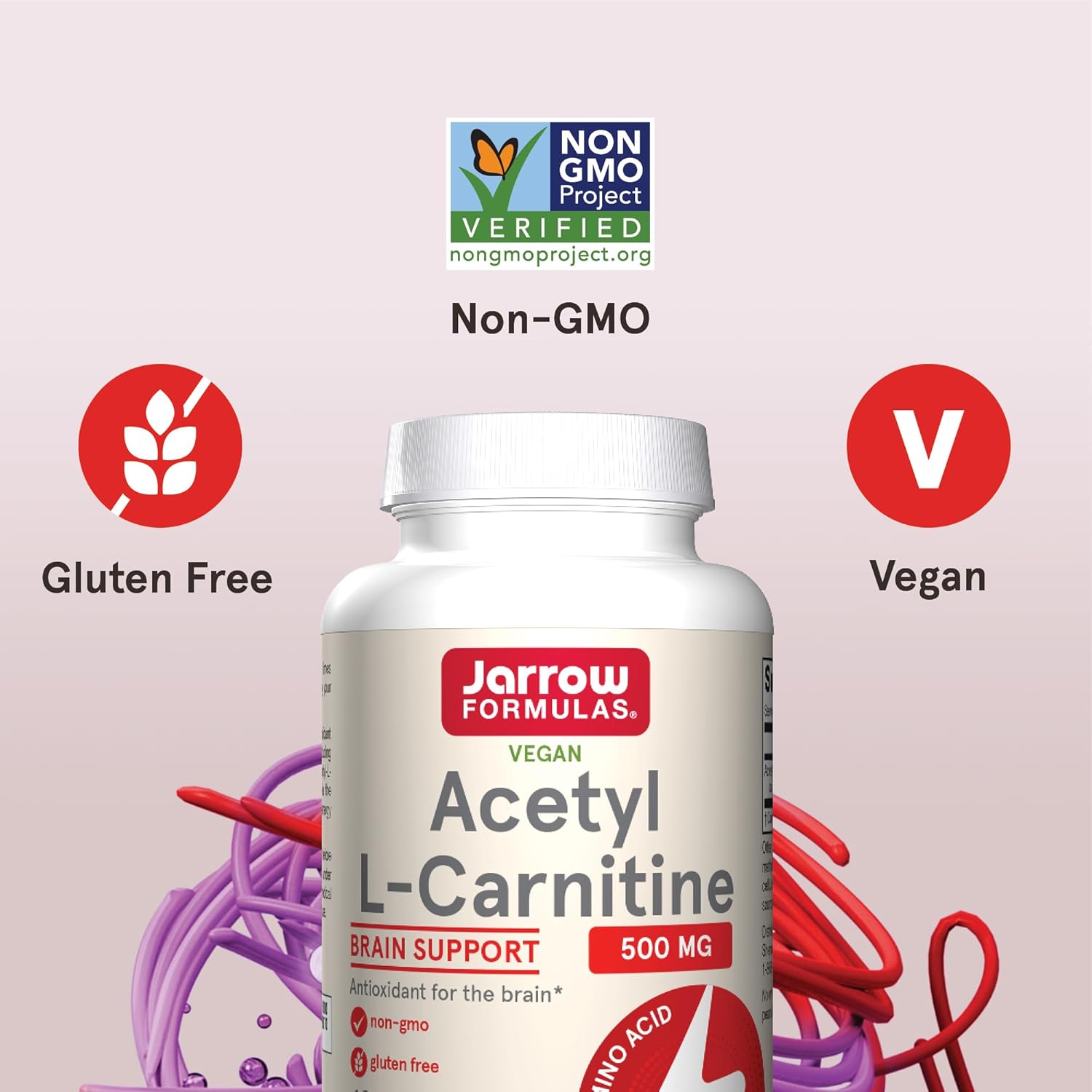Jarrow Formulas® Acetyl L-Carnitine 500 Mg, Dietary Supplement, Amino Acid Support For Brain Health And Antioxidants, 120 Veggie Capsules, 120 Day Supply : Health & Household