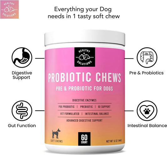 Probiotics for Dogs - Dog Probiotic Chews and Digestive Enzymes - Vet Strength Pet Supplement with Prebiotic for Digestion Support, Gut Health, Allergies, Itchy Skin - 60 Soft Chews | Made in USA