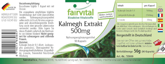 Fairvital | Kalmegh extract 500 mg - 90 capsules 5 times concentrated Kalmegh leaf extract - for 3 months - tested quality and high dosage - 100% vegan - Made in Germany