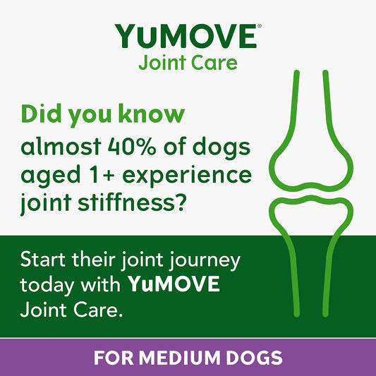 YuMOVE ONE-A-DAY Chews For Medium Dogs | Joint Supplement for Stiff Dogs with Glucosamine, Chondroitin, Green Lipped Mussel | 30 Chews - 1 Month supply?YMCM30