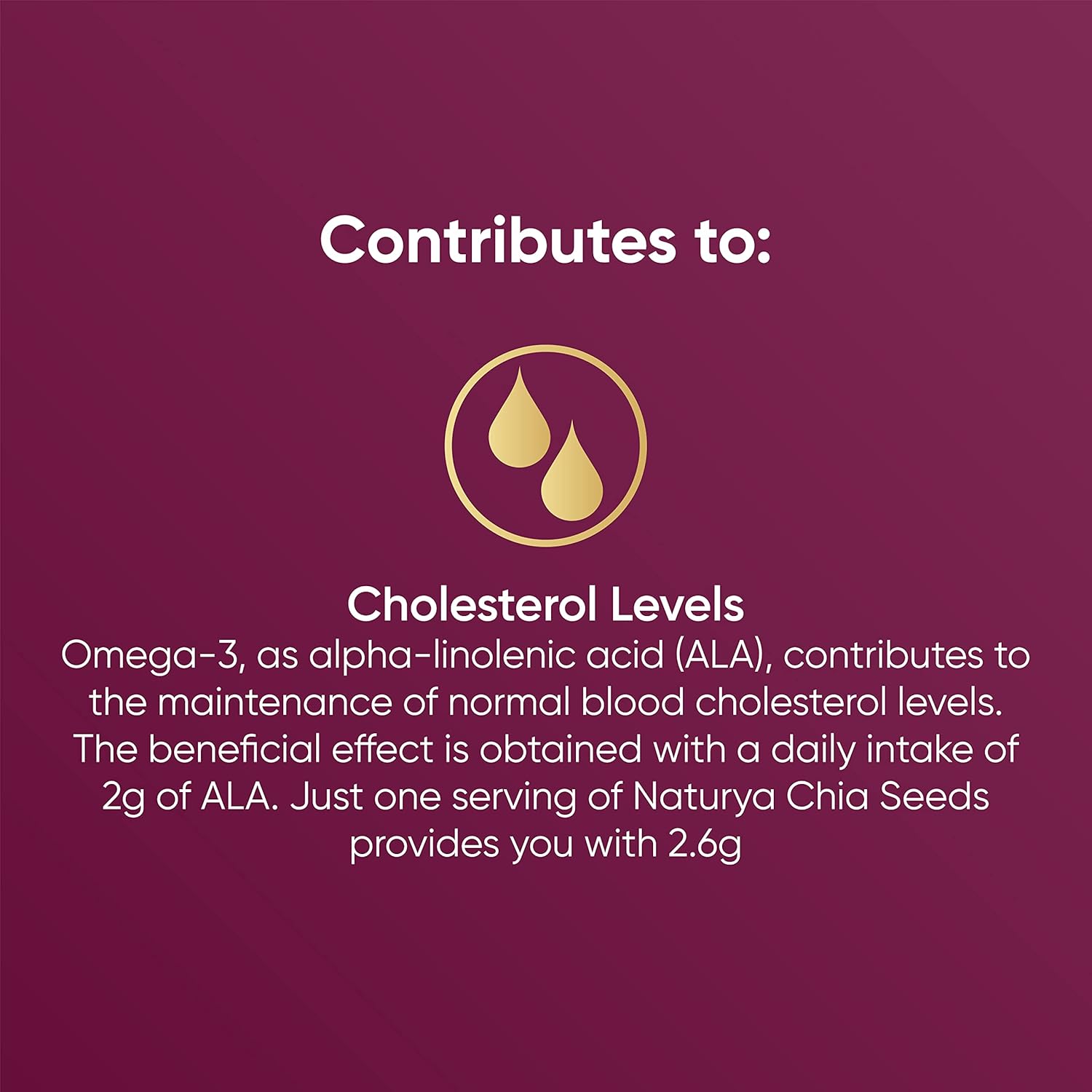 Naturya | Organic Raw Chia seeds | 300g : Amazon.co.uk: Health & Personal Care