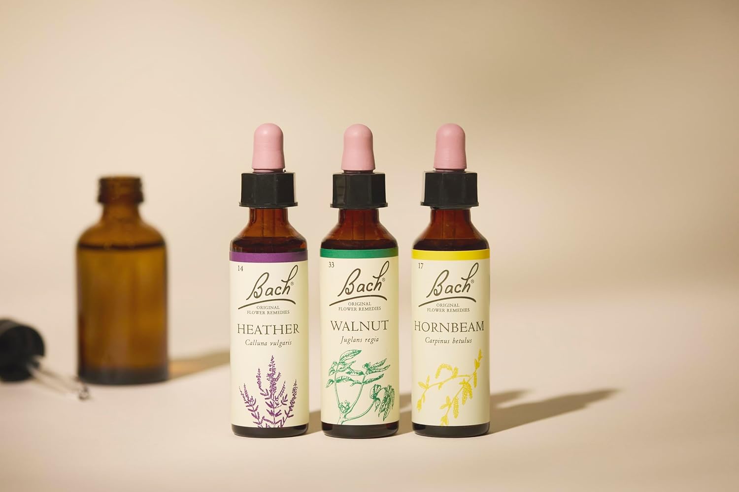 Bach Original Flower Remedies (Walnut) Stand Your Ground, Accept Change, Emotional Wellness, Natural Flower Essence, 20ml : Amazon.co.uk: Health & Personal Care